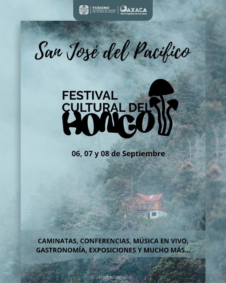 Festival Cultural del Hongo San José del Pacífico